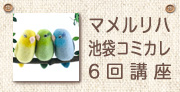 池袋教室バナー